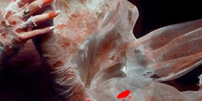 Jornal Empresas & Negócios